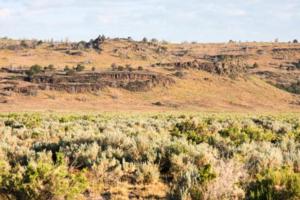 Zone 4 Lassen Pronghorn Antelope Country 1855 SC2 Outdoors Rugged and Remote